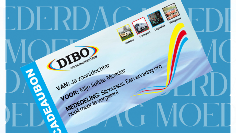 Verras je moeder met een stoer en origineel cadeau